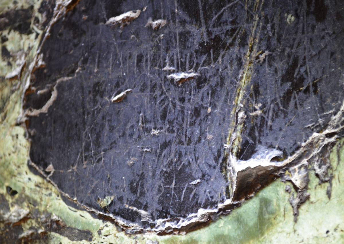 Фотография Ю. А. Артамонова и А. А. Гиппиуса