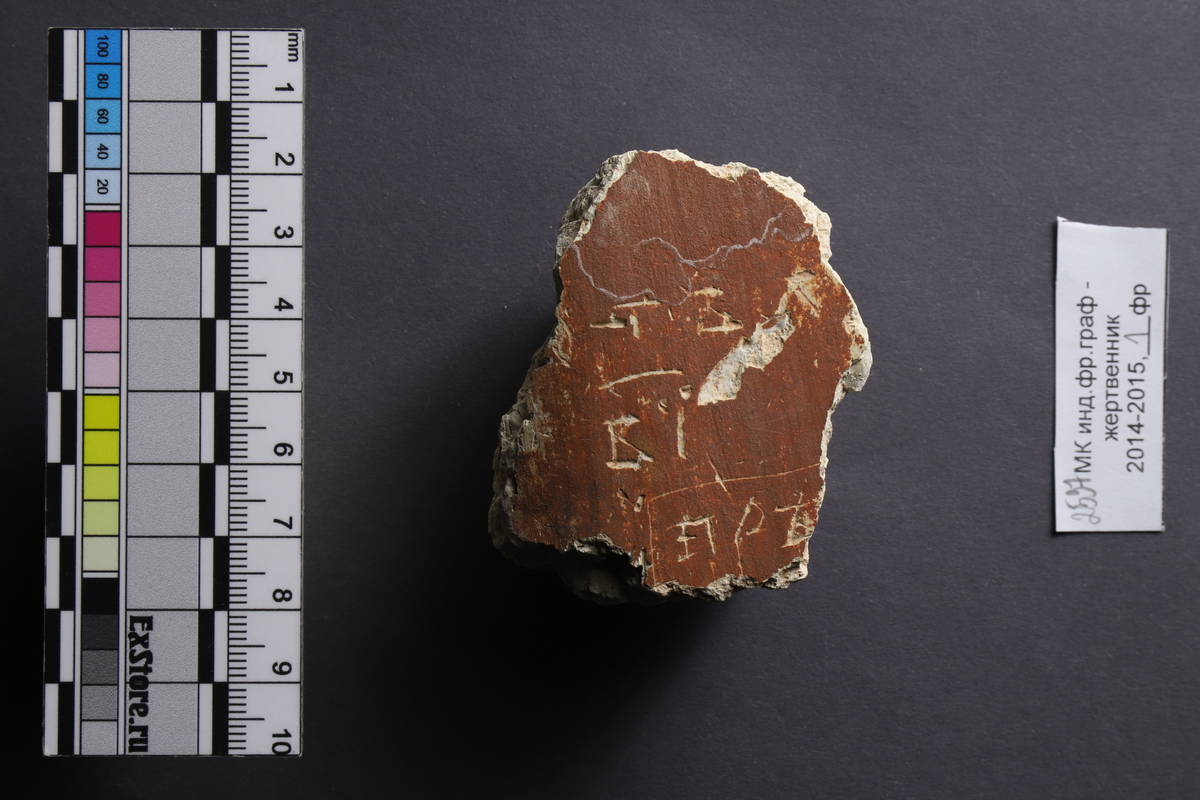 Фото предоставлено А. А. Гиппиусом.