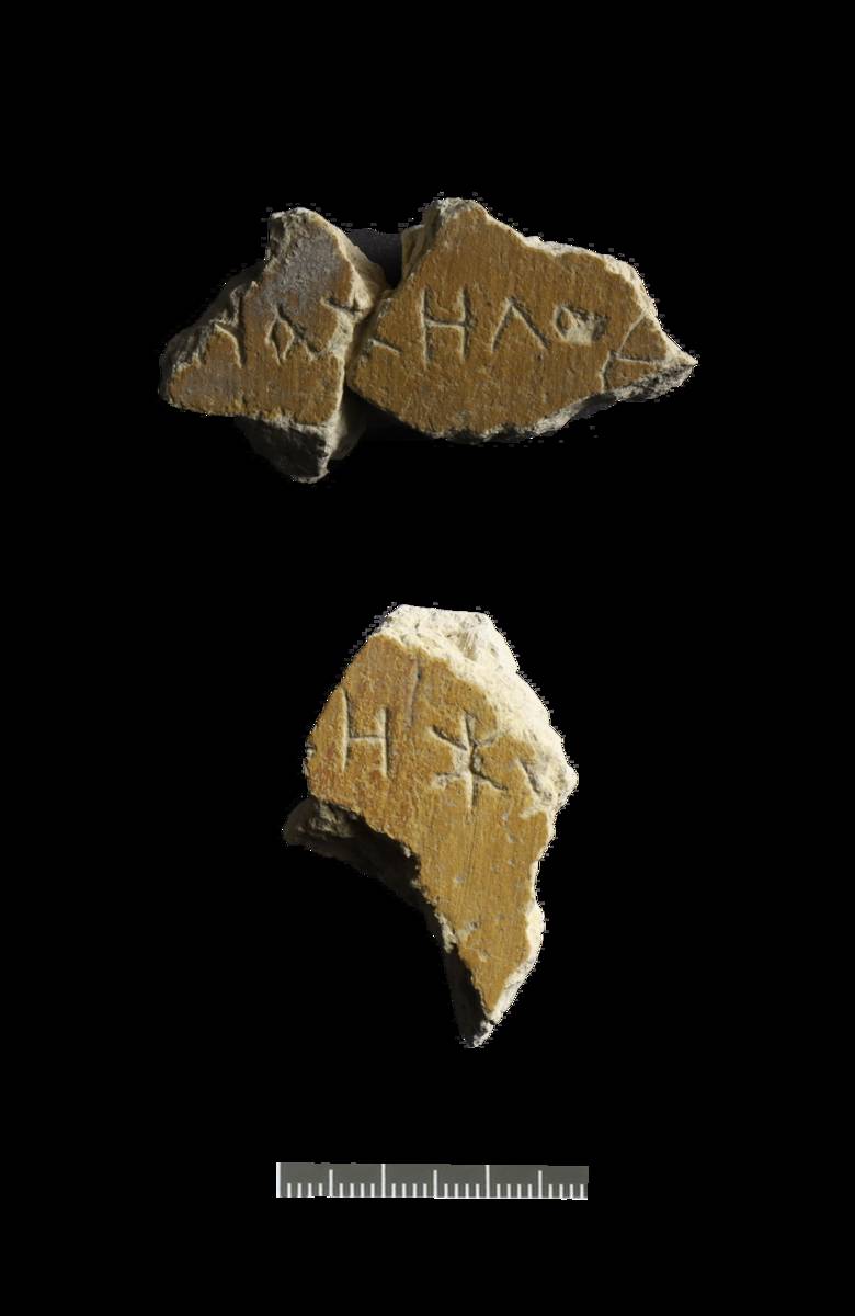 Фото предоставлено А. А. Гиппиусом.