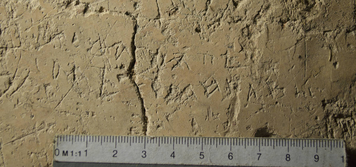 Взято из работы <a href="/epigraphy/bibliography/record/list#София Новгородская">София Новгородская</a> Фотография А. А. Гиппиуса и С. М. Михеева.