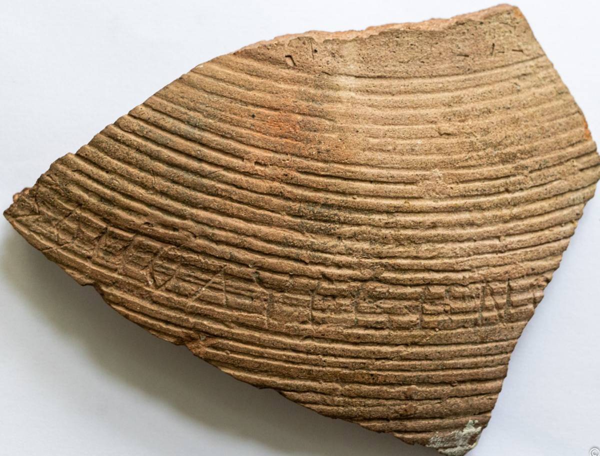 Фото Д. Ленковца https://ldd.by/pinsk-polesian-legend/