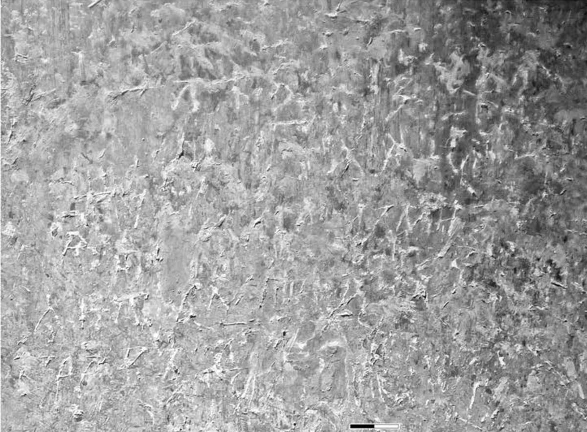 Взято из работы <a href="/epigraphy/bibliography/record/list#Корниенко 2015а">Корниенко 2015а</a>