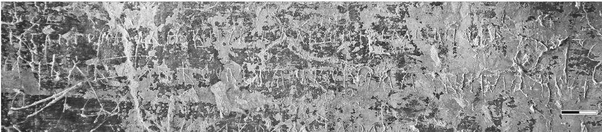 Взято из работы <a href="/epigraphy/bibliography/record/list#Корниенко 2020а">Корниенко 2020а</a>