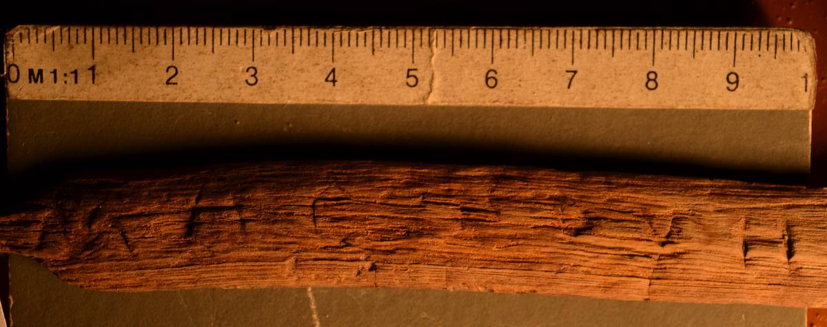 Фото Н. А. Седуковой