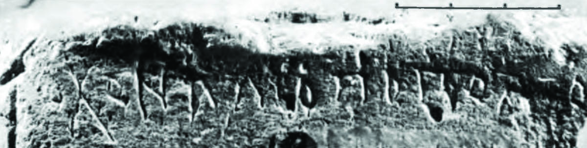 Взято из работы <a href="/epigraphy/bibliography/record/list#Высоцкий 1985">Высоцкий 1985</a>